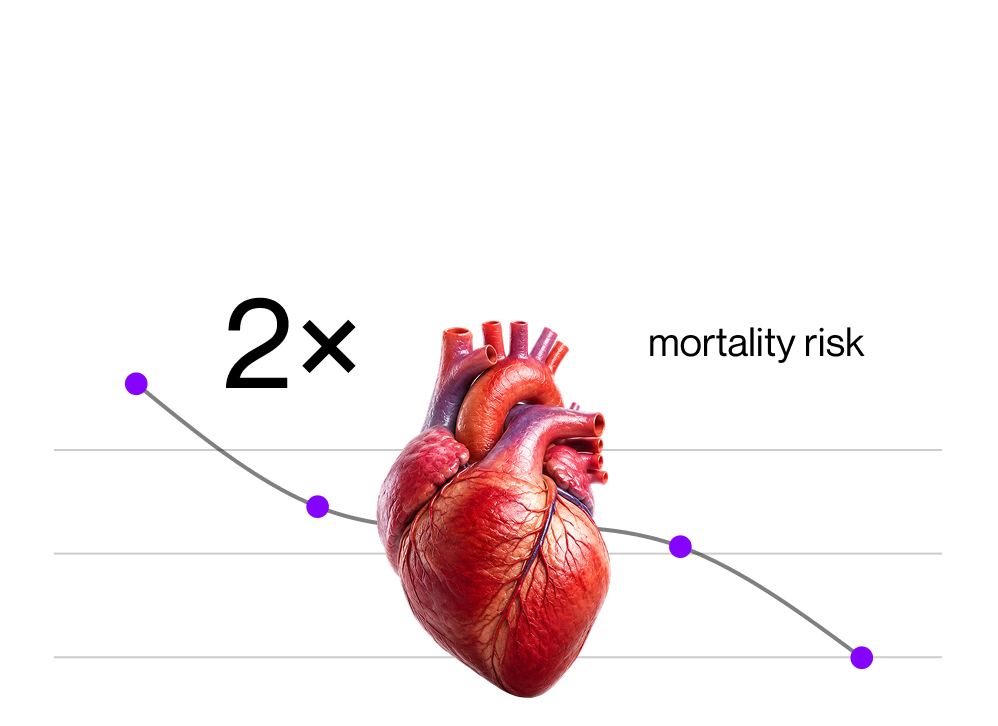 Cardiovascular System