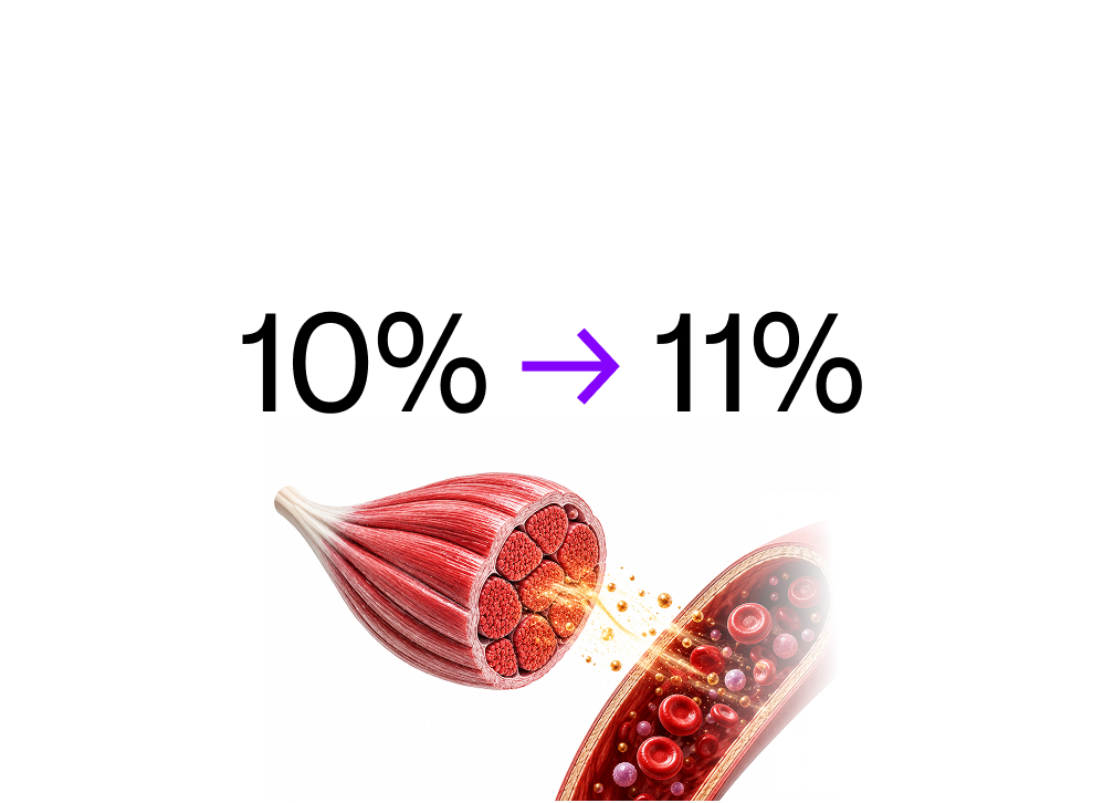 Cardiovascular System